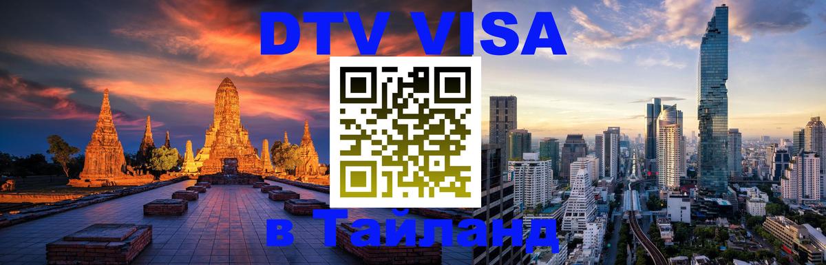 Сколько стоит DTV виза — актуальные цены, оформление даже без документов - Ессентуки 